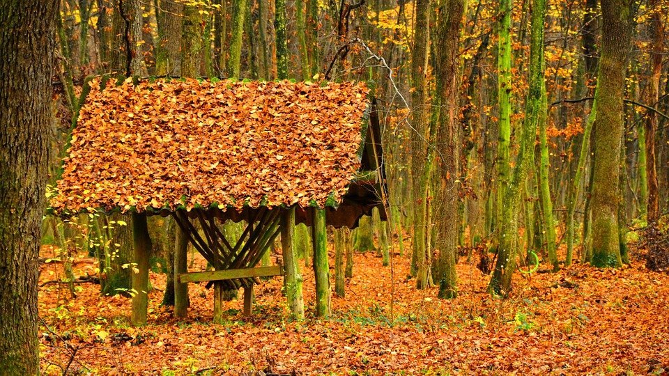 Portada. Vender tu casa en otoño. Blog consejos eica agencia inmobiliaria Donosti