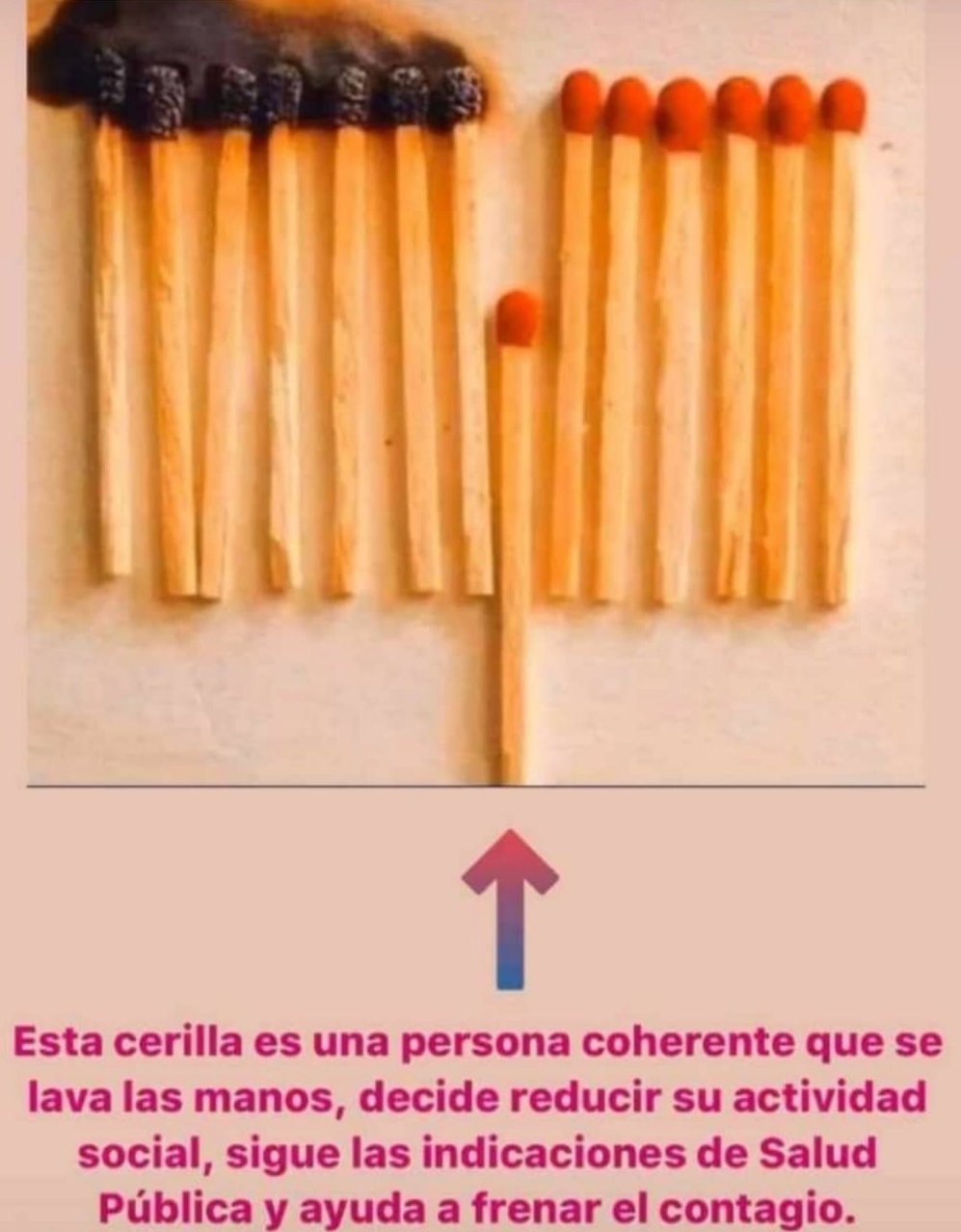 WhatsApp Image 2020-03-13 at 19.49.25