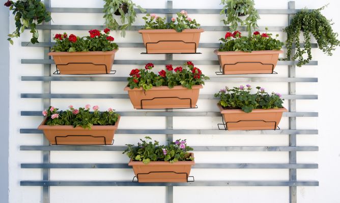 Portada. Ideas para crear tu propio jardín vertical. Consejos low cost para decorar tu hogar. Ideas blog eica agencia inmobiliaria Donosti
